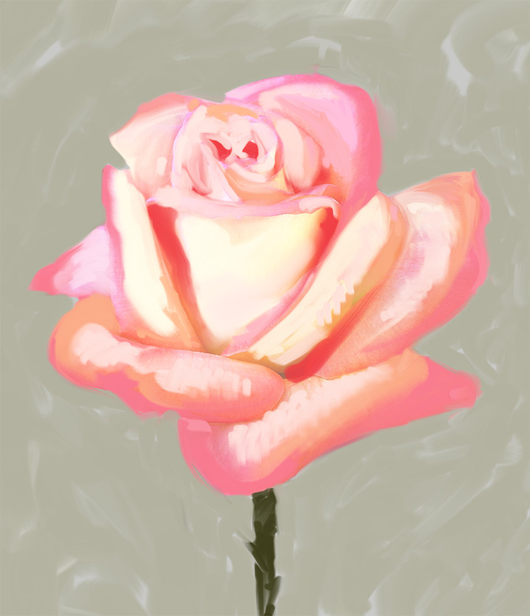 rose-for-ann